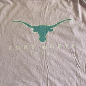 ⭐️3/$20 Fort Worth Texas comfort colors T large